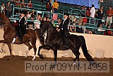 09yn-14958 proof