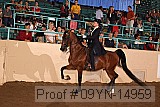 09yn-14959 proof