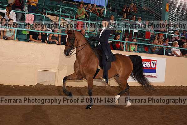 Proof 09yn-14961