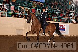 09yn-14961 proof