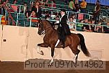 09yn-14962 proof