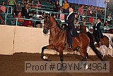 09yn-14964 proof