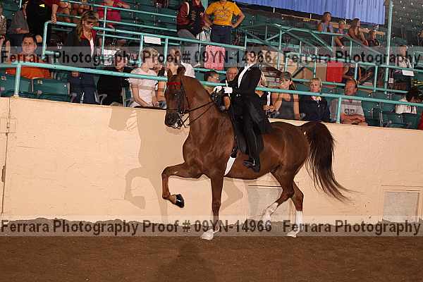 Proof 09yn-14966