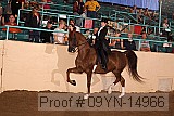 09yn-14966 proof