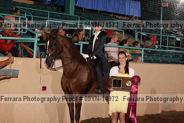 Proof 09yn-14972