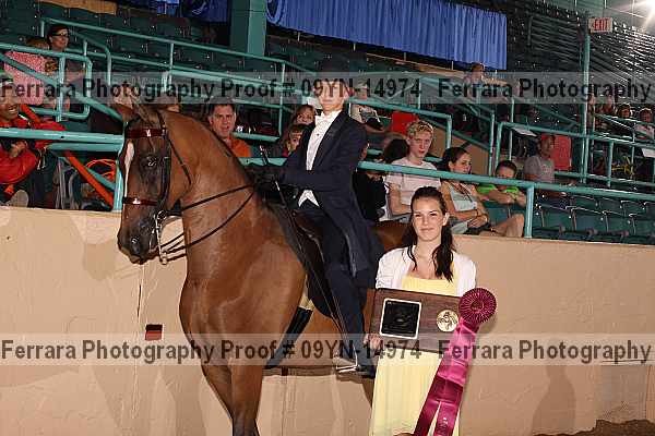 Proof 09yn-14974