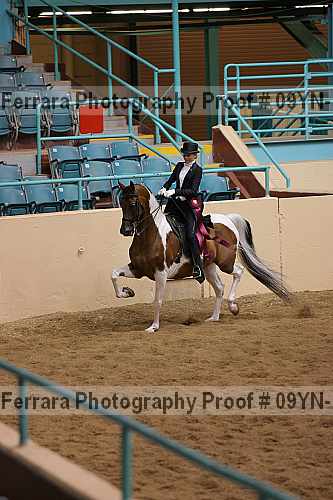 Proof 09yn-14976