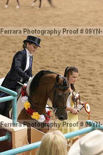 Proof 09yn-14982