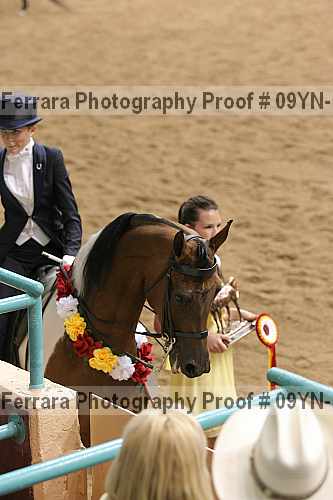 Proof 09yn-14984
