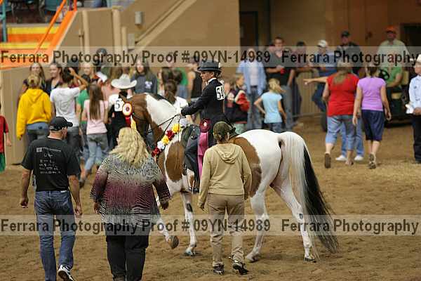 Proof 09yn-14989