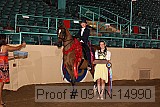 09yn-14990 proof