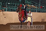 09yn-14991 proof