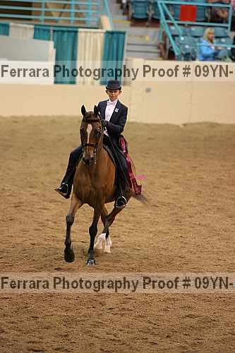 Proof 09yn-14992