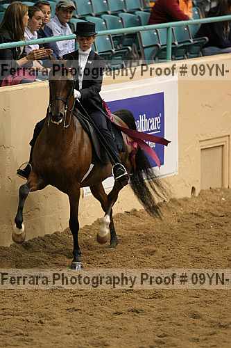 Proof 09yn-15014