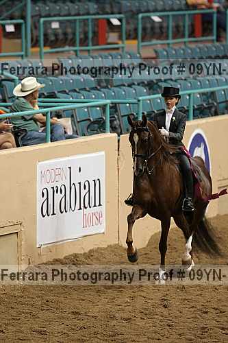 Proof 09yn-15018