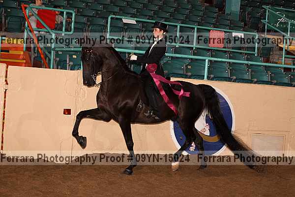 Proof 09yn-15024