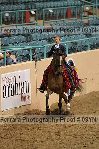 Proof 09yn-15025
