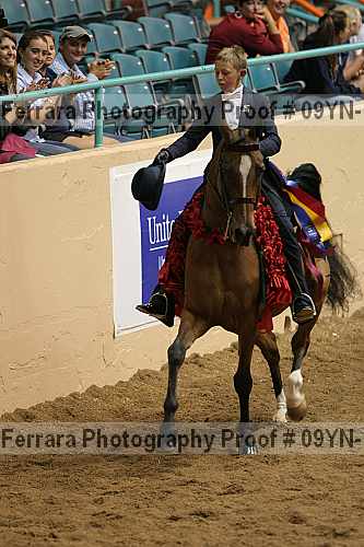 Proof 09yn-15026
