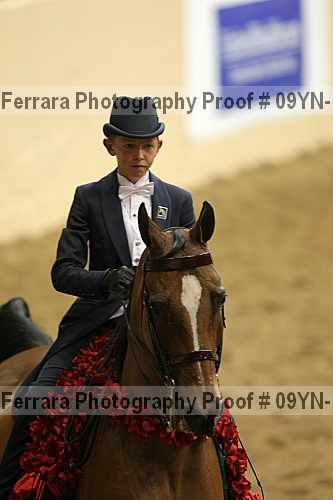 Proof 09yn-15031