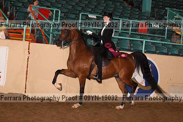 Proof 09yn-15032
