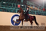09yn-15033 proof