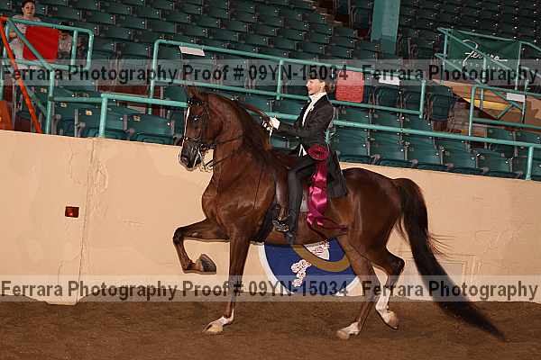 Proof 09yn-15034