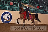 09yn-15037 proof