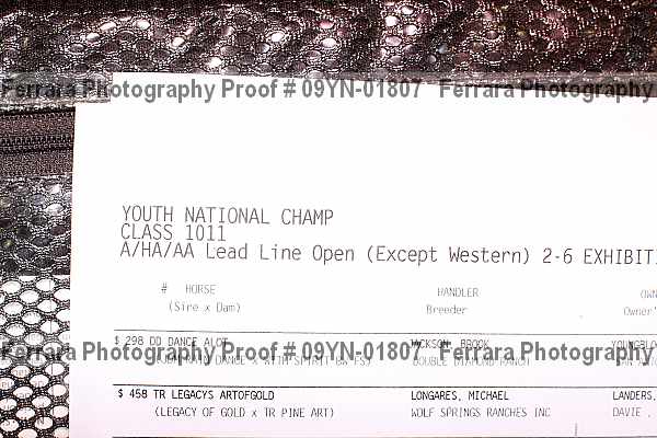 Proof 09yn-01807