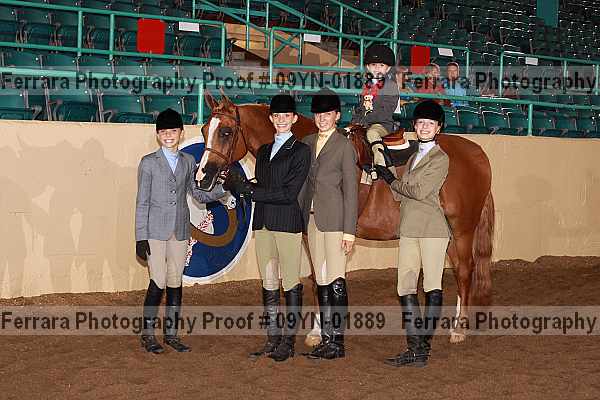 Proof 09yn-01889
