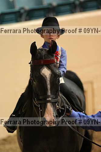 Proof 09yn-01911