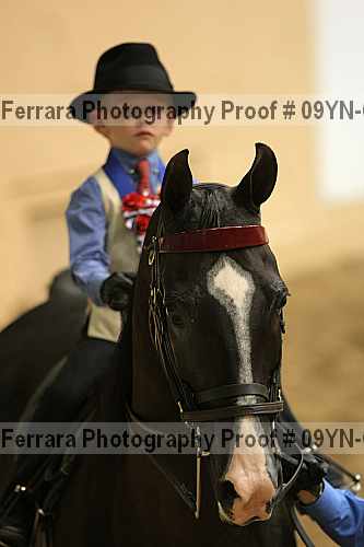 Proof 09yn-01912