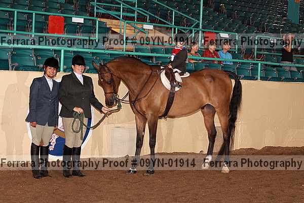 Proof 09yn-01914