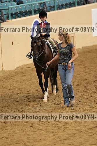 Proof 09yn-01917