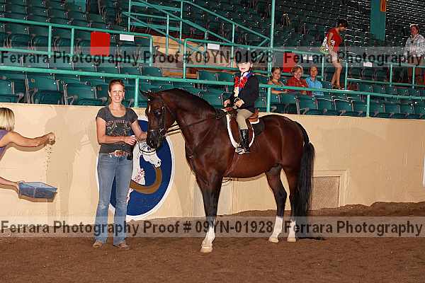 Proof 09yn-01928