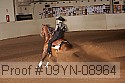 09yn-08964 proof