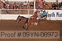 09yn-08972 proof