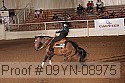 09yn-08975 proof