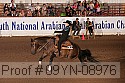 09yn-08976 proof