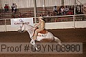 09yn-08980 proof