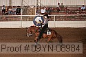 09yn-08984 proof