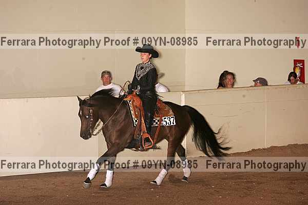 Proof 09yn-08985