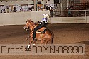 09yn-08990 proof