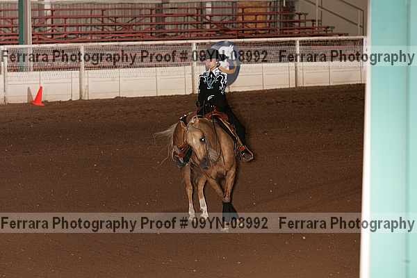 Proof 09yn-08992