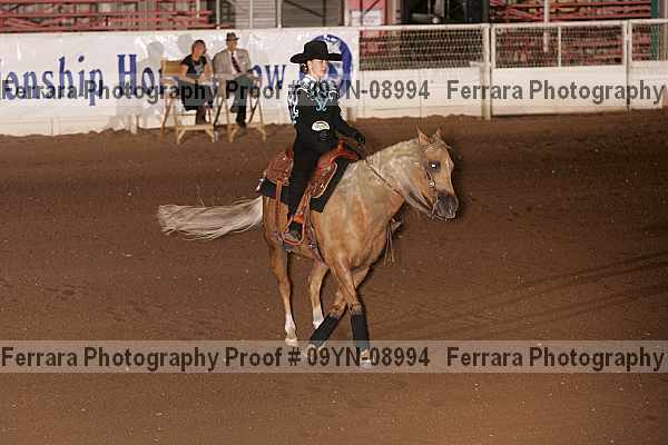 Proof 09yn-08994