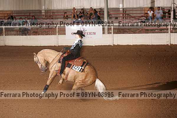 Proof 09yn-08995