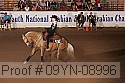 09yn-08996 proof