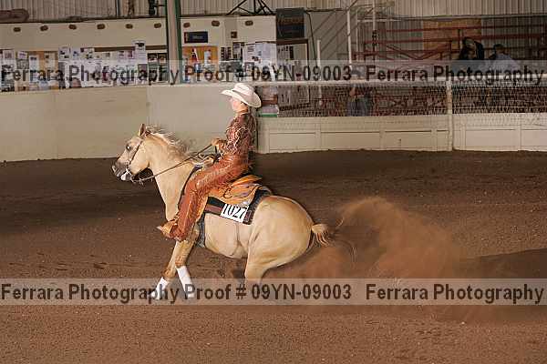 Proof 09yn-09003