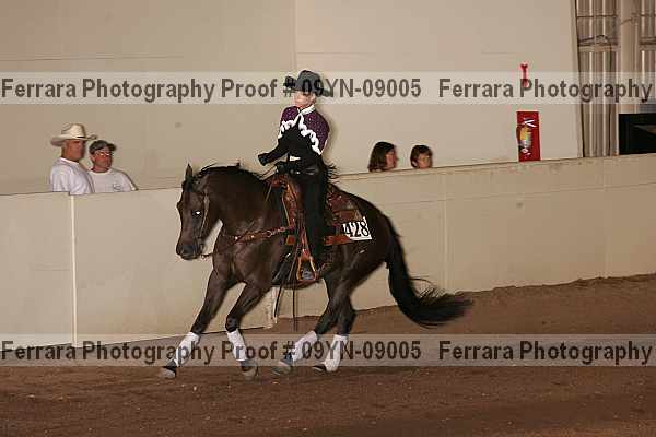 Proof 09yn-09005