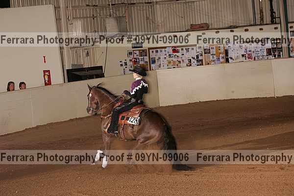 Proof 09yn-09006