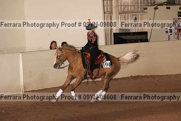 Proof 09yn-09008